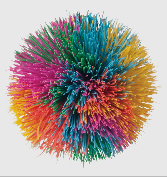 Rainbow Pom Ball