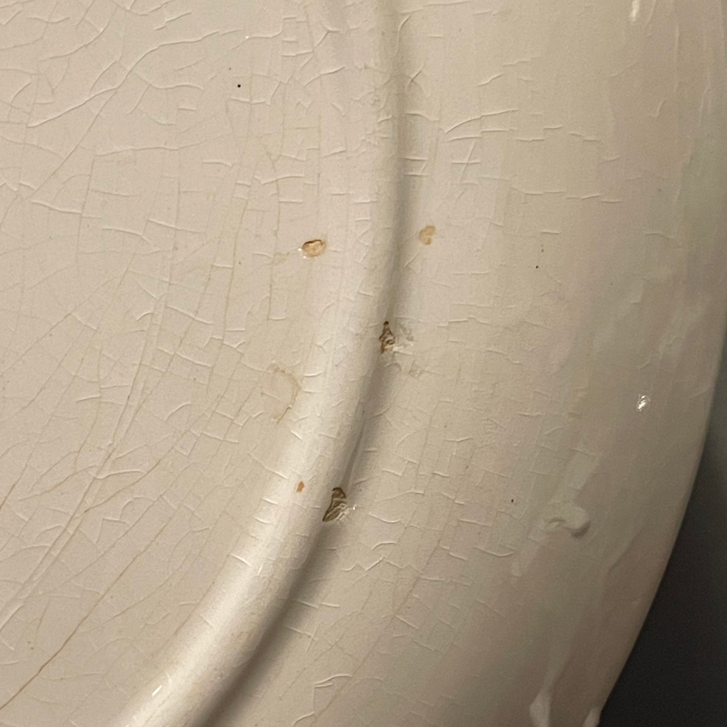 Salem China Southwind Dinner Plate