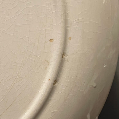 Salem China Southwind Dinner Plate