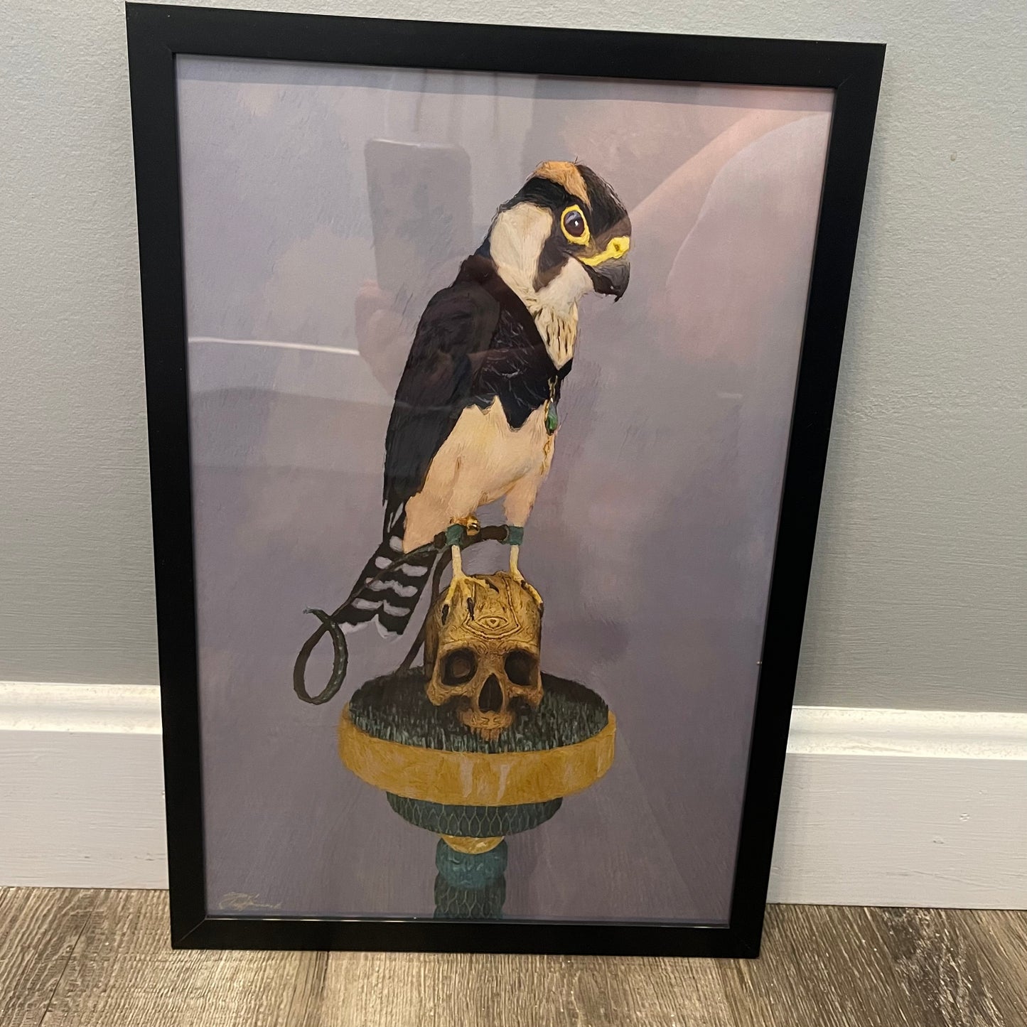 Jordan Hancock Birds of Prey Collection