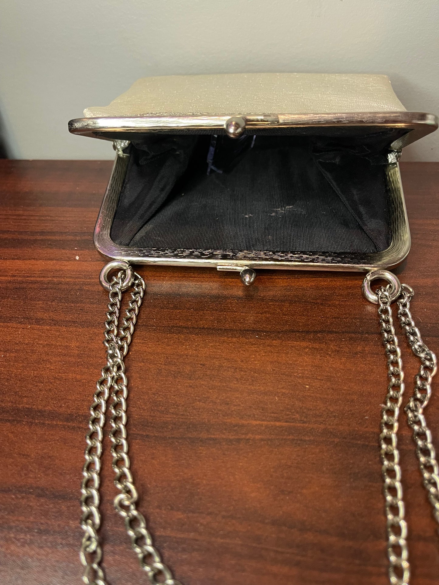 Silver Purse