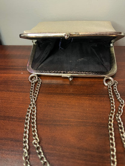 Silver Purse