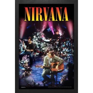 Nirvana Framed Print