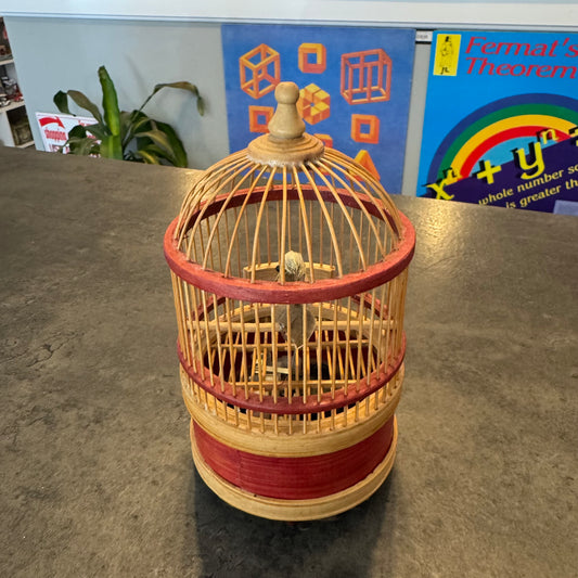 Wind Up Bird in Wooden Cage
