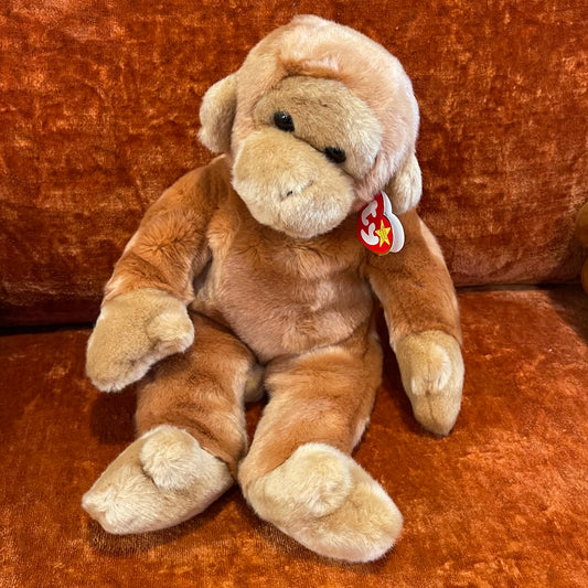 Bongo Beanie Buddy