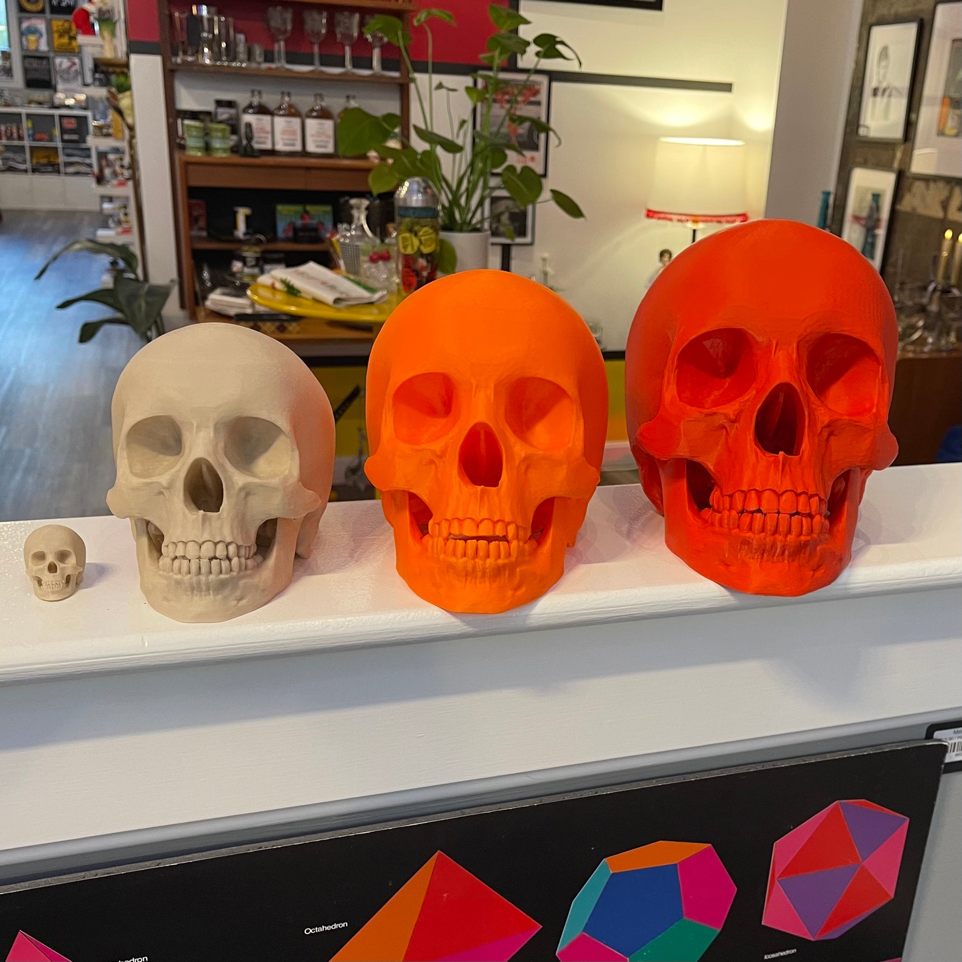 3d Printed Skulls