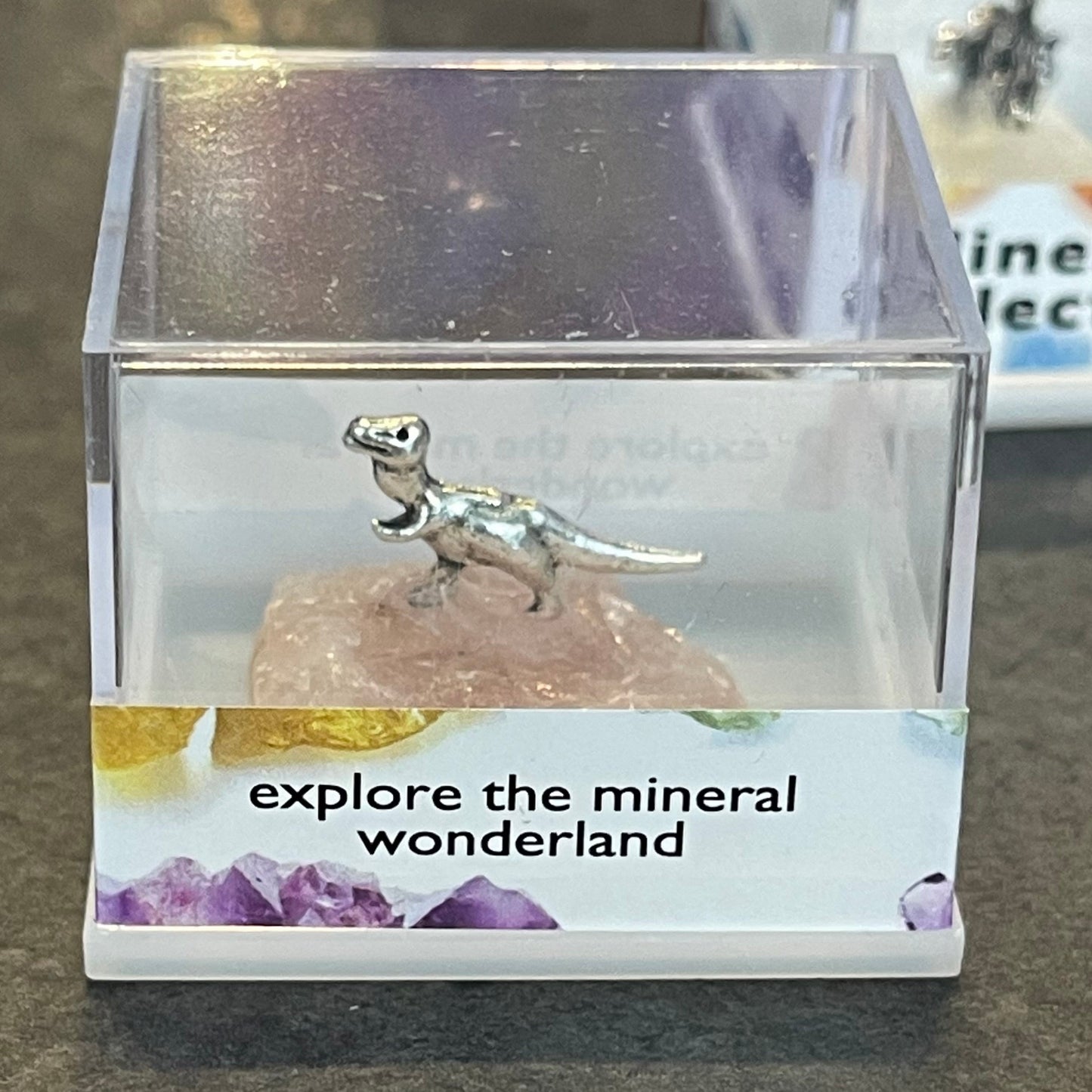 Tiny Dino Stones