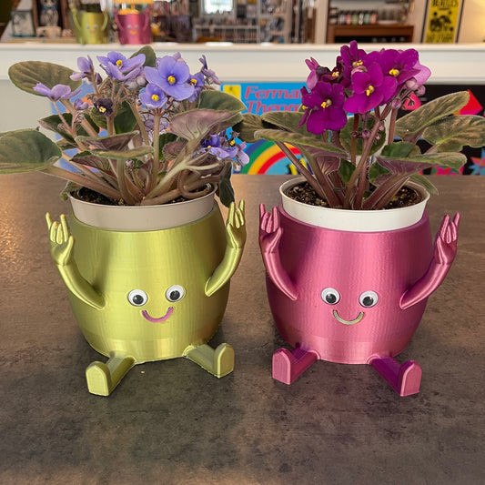 3D Planter with Live Plant
