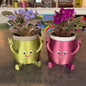 3D Planter with Live Plant