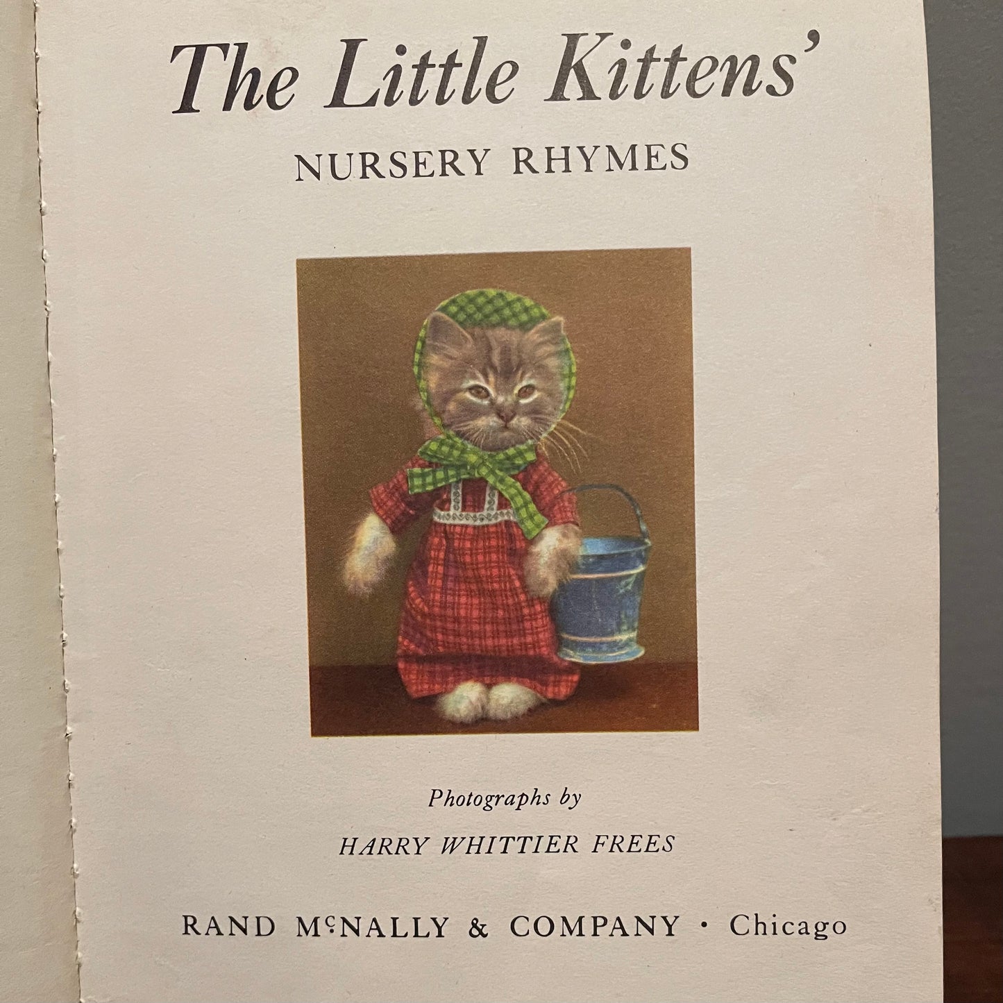 The Little Kittens Nursery Rhymes