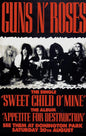 Guns N Roses Concert Poster (reprint)
