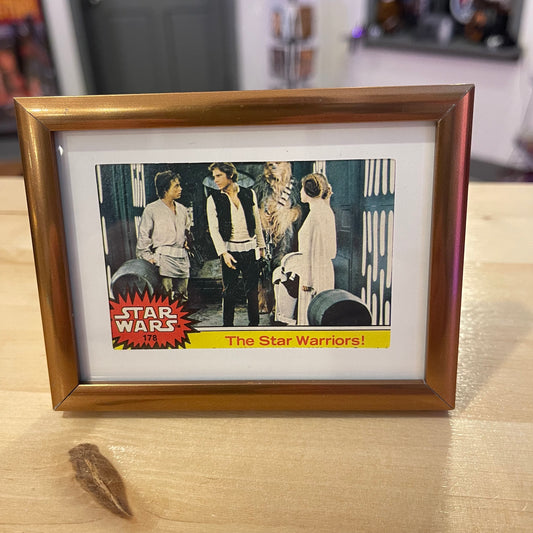 The Star Warriors Trading Card