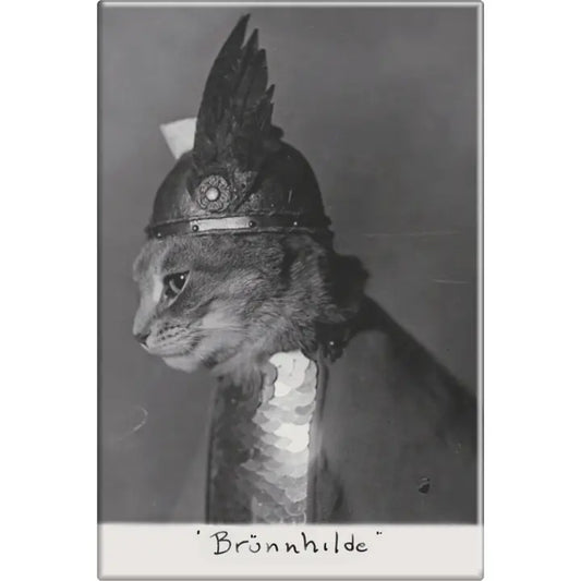 Brunhilde Magnet