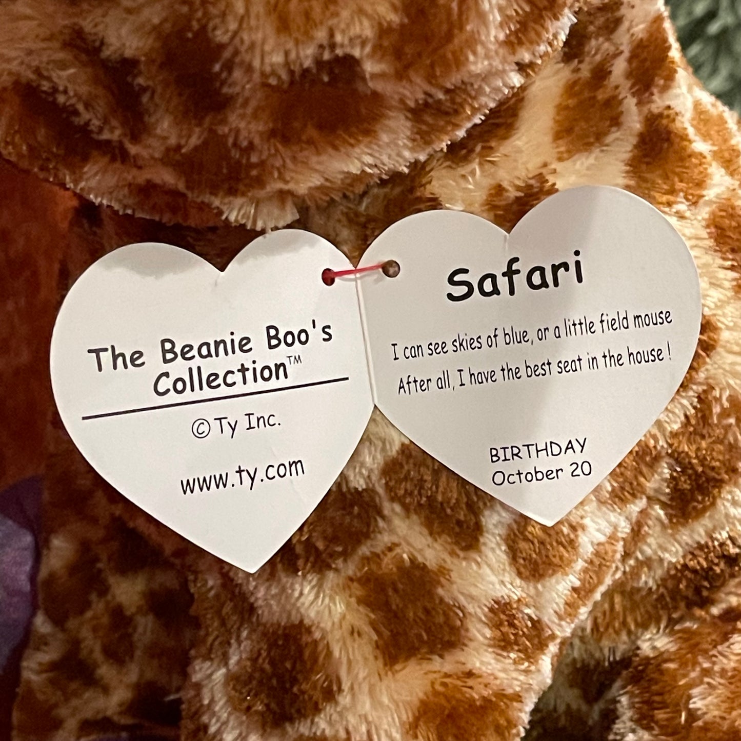Ty Safari XL Beanie Boo