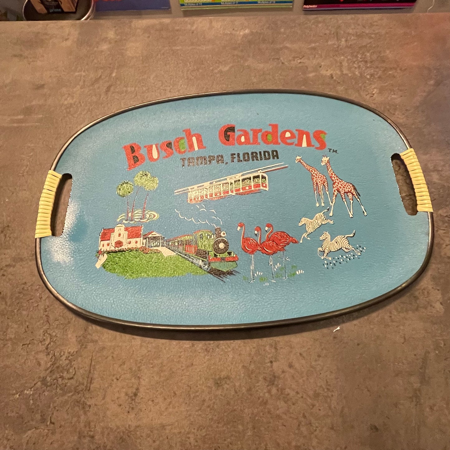 Busch Gardens Tamps Tray