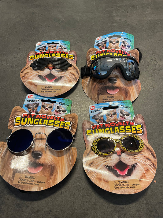 Pet Sunglasses