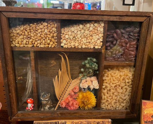 Seed Art Shadow Box