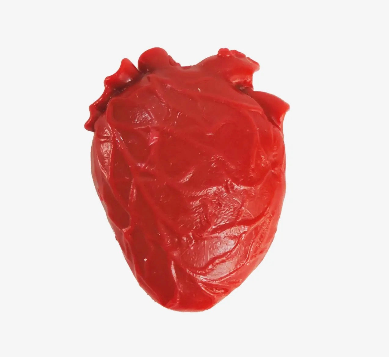 Tiny Squishy Anatomical Heart