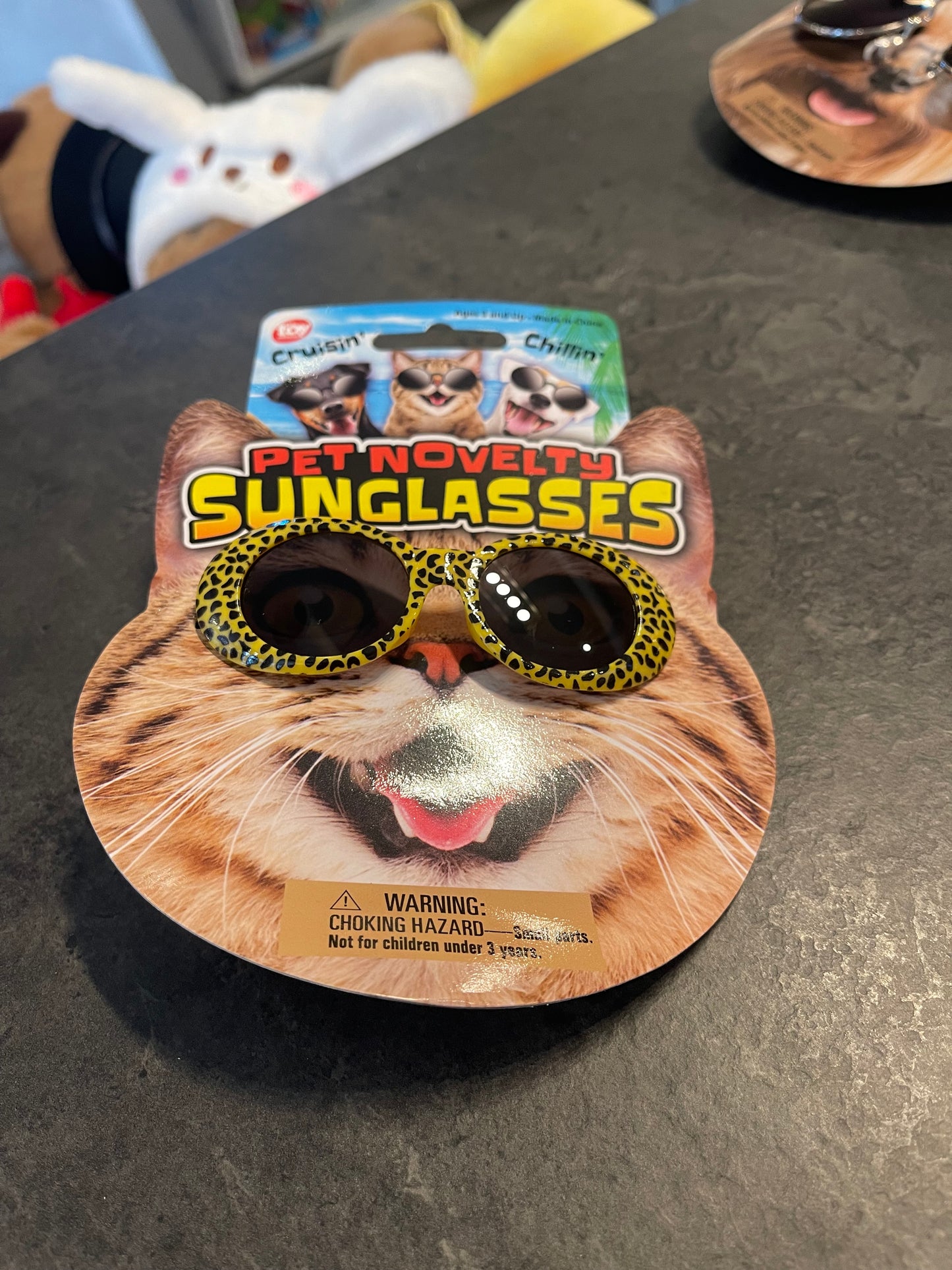 Pet Sunglasses