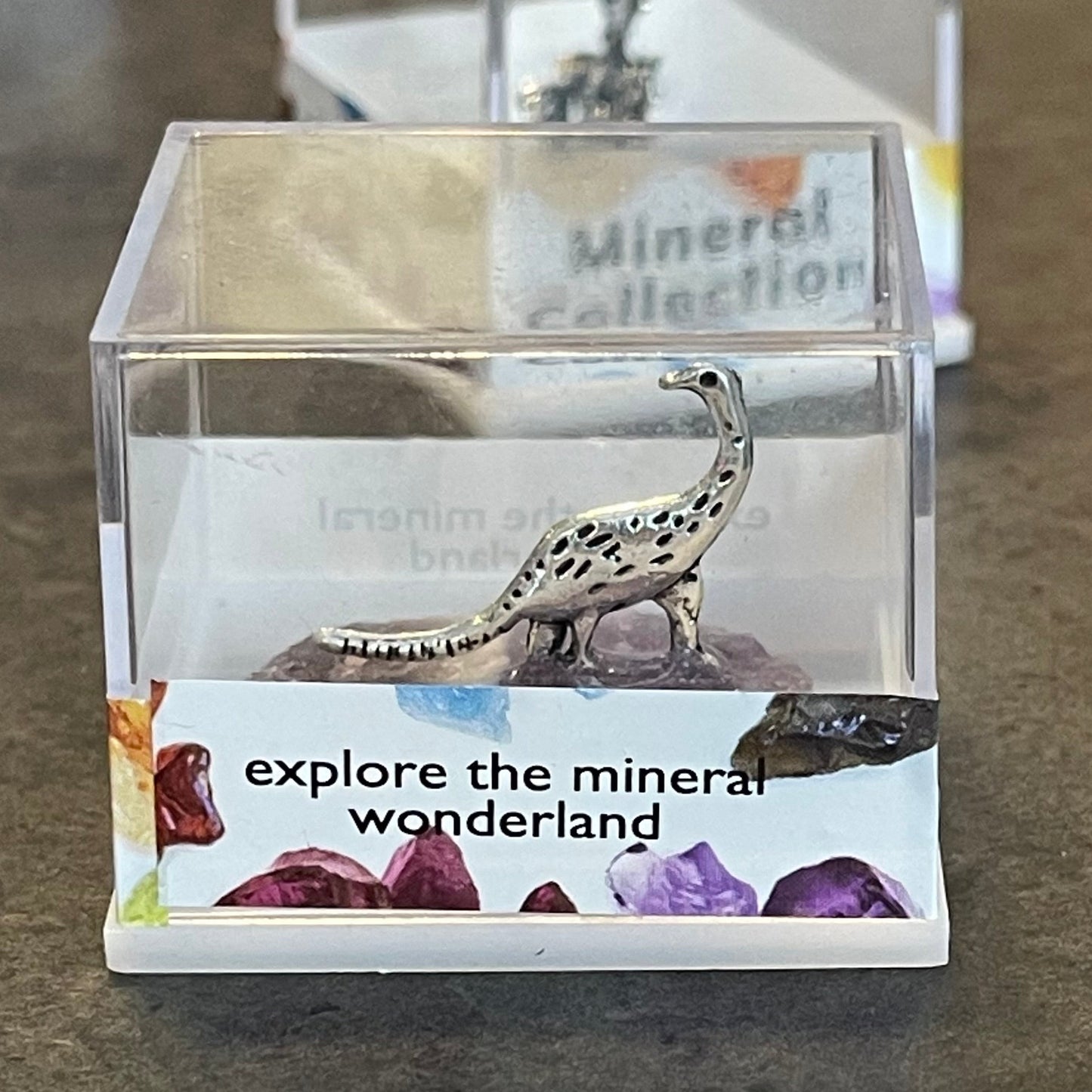 Tiny Dino Stones