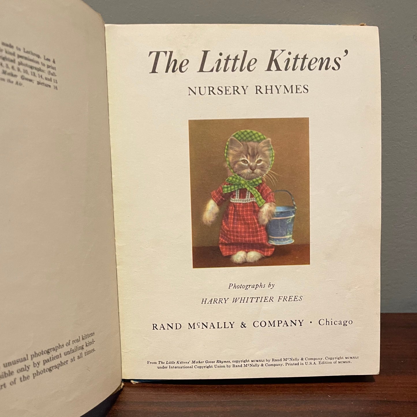 The Little Kittens Nursery Rhymes