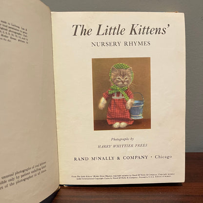 The Little Kittens Nursery Rhymes