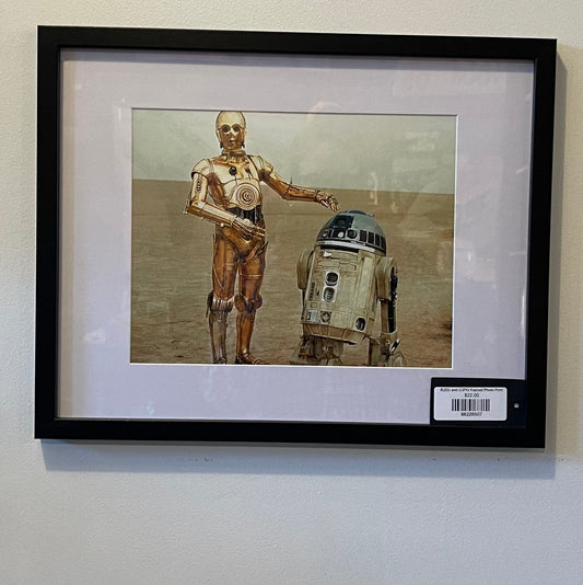 R2D2 and C3PO Framed Photo Print
