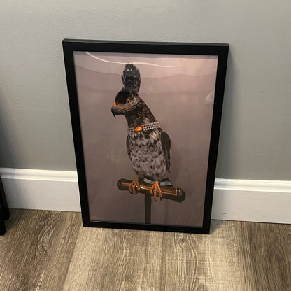 Jordan Hancock Birds of Prey Collection