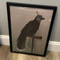 Jordan Hancock Birds of Prey Collection