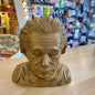 3D Printed Einstein Bust