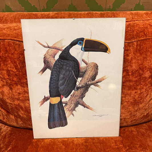 Etienne Demonte Toucan Lithograph