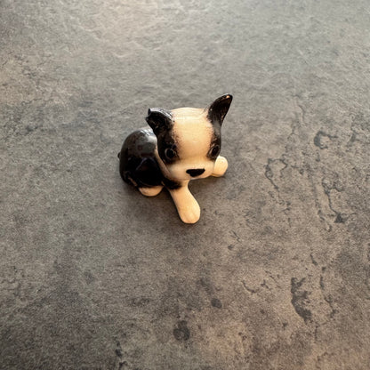 Boston Terrier Puppy 1"