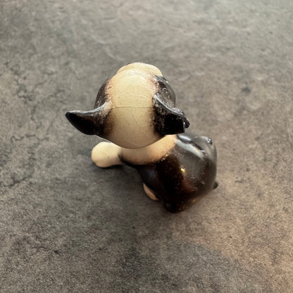 Boston Terrier Puppy 1"