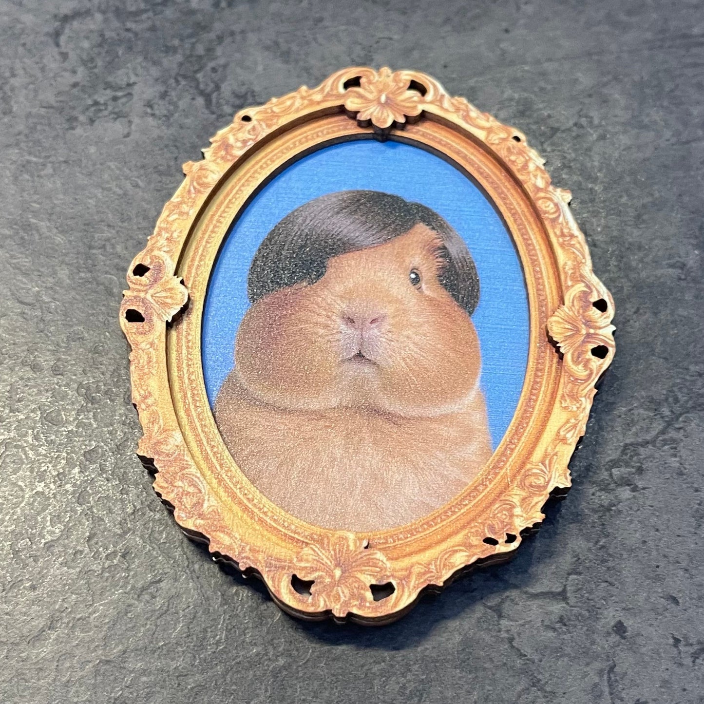 Guinea Pig in a wig inside an oval gold frame on a textured gray background