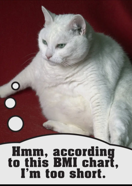BMI Magnet