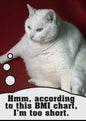 BMI Magnet