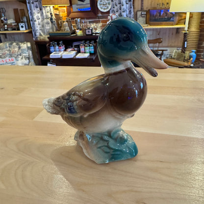 Pair of Glazed Mallards