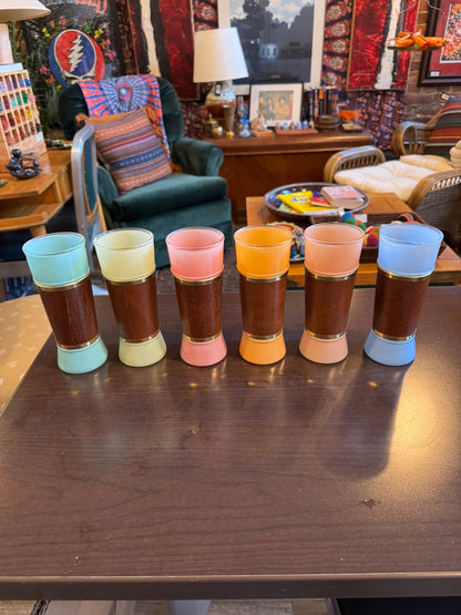 Tiki Rainbow Glasses Set of 6