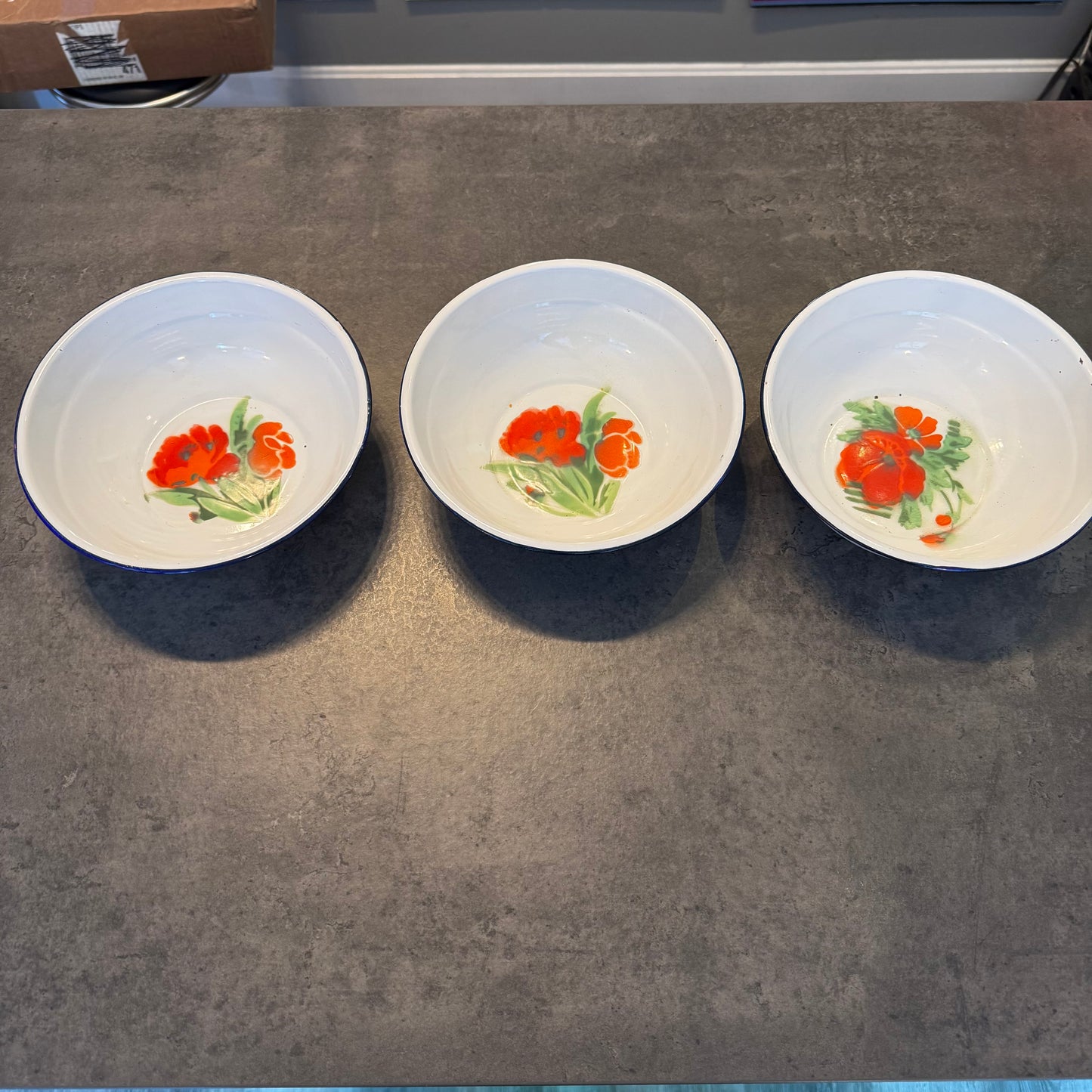 Set of 3 Enamelware Bowls with Floral Design