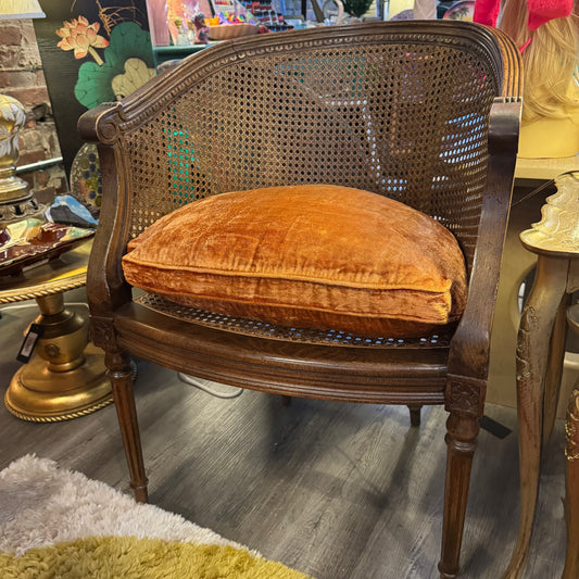 French Louis XVI Style Caned Fruitwood Chair