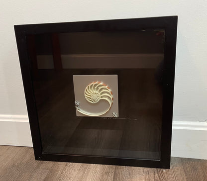 Seashell Accessory Art