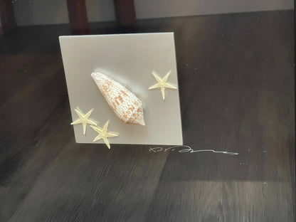 Seashell Accessory Art