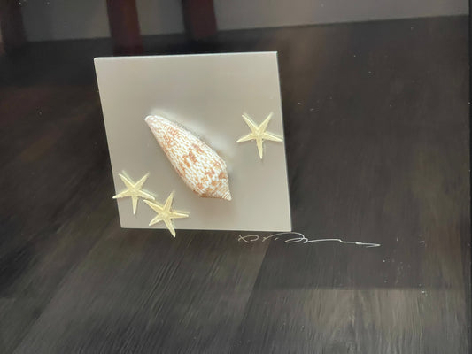 Seashell Accessory Art