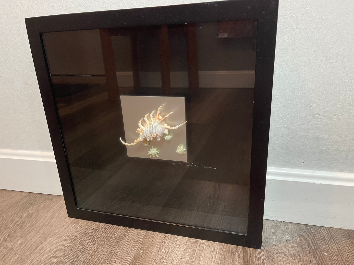 Seashell Accessory Art