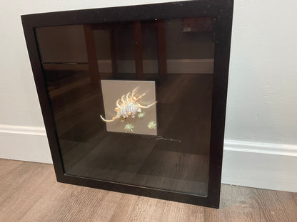 Seashell Accessory Art