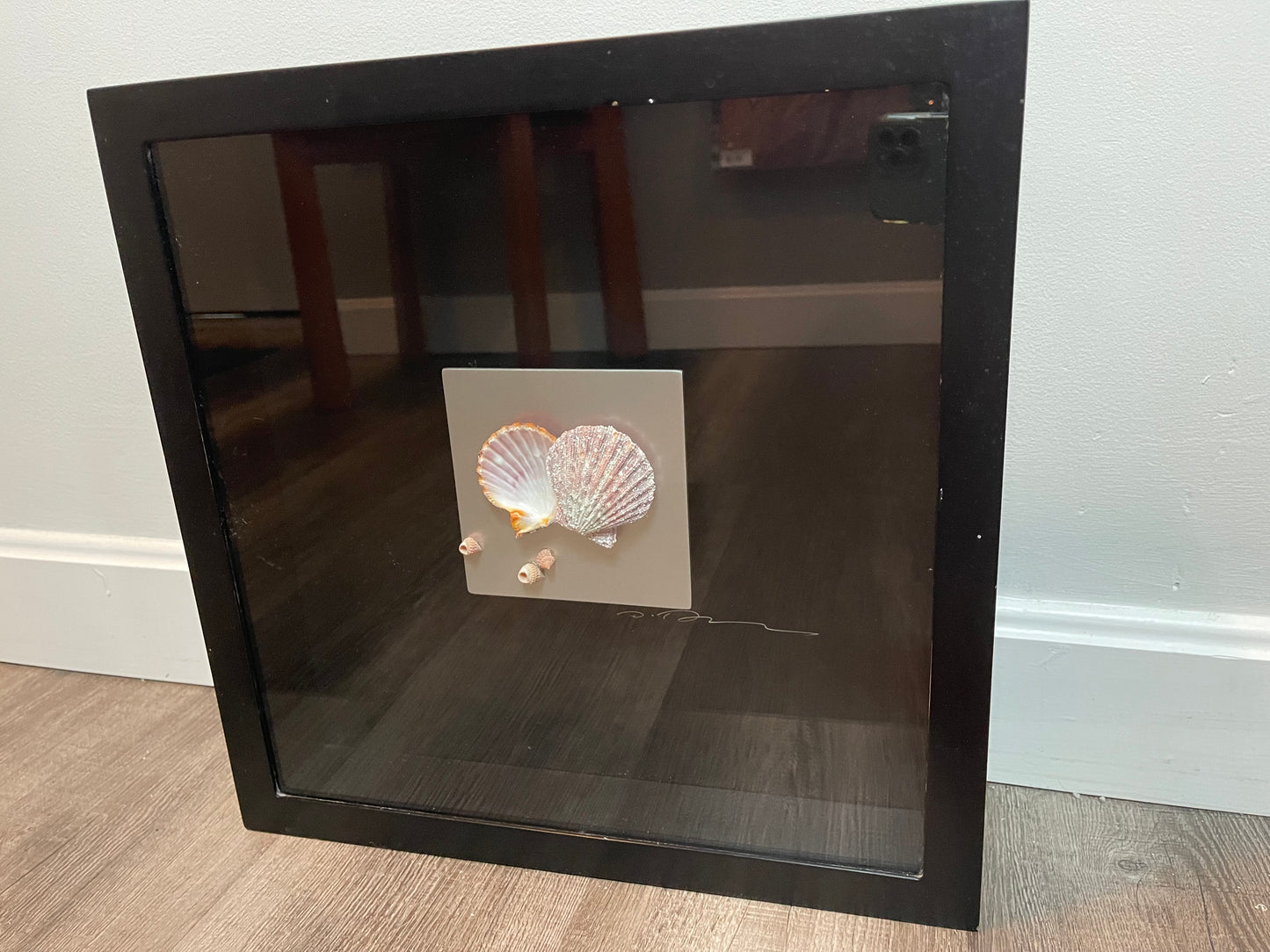 Seashell Accessory Art