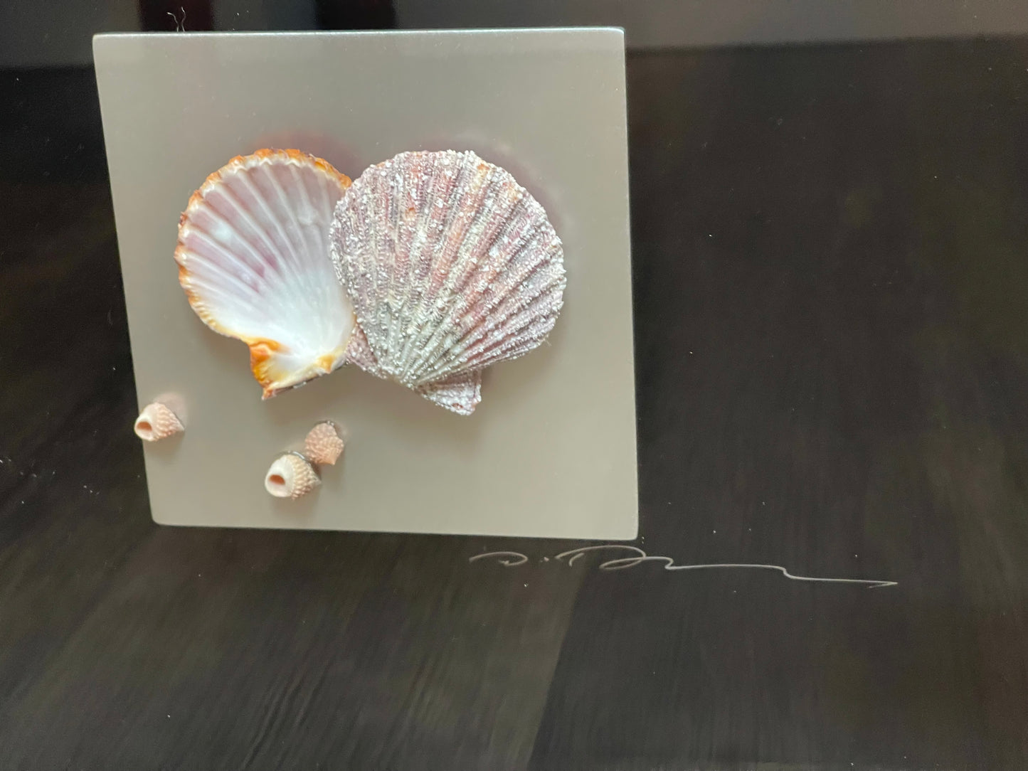Seashell Accessory Art