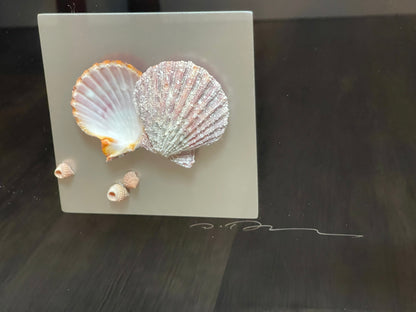 Seashell Accessory Art