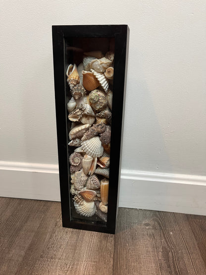 Seashell Box