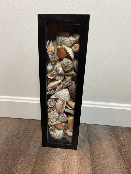 Seashell Box
